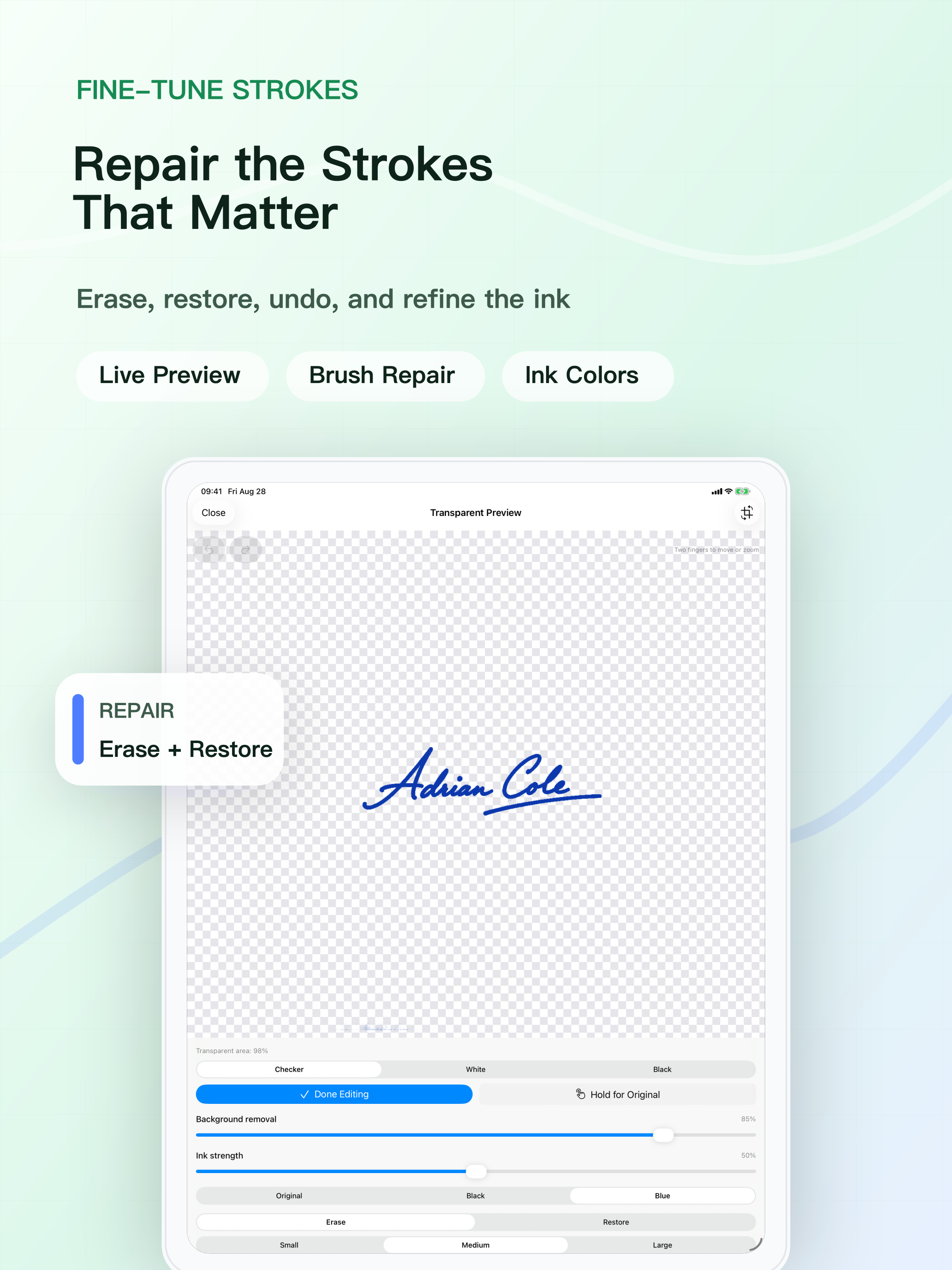Use the iPad canvas, brushes, and live preview to refine signature strokes.