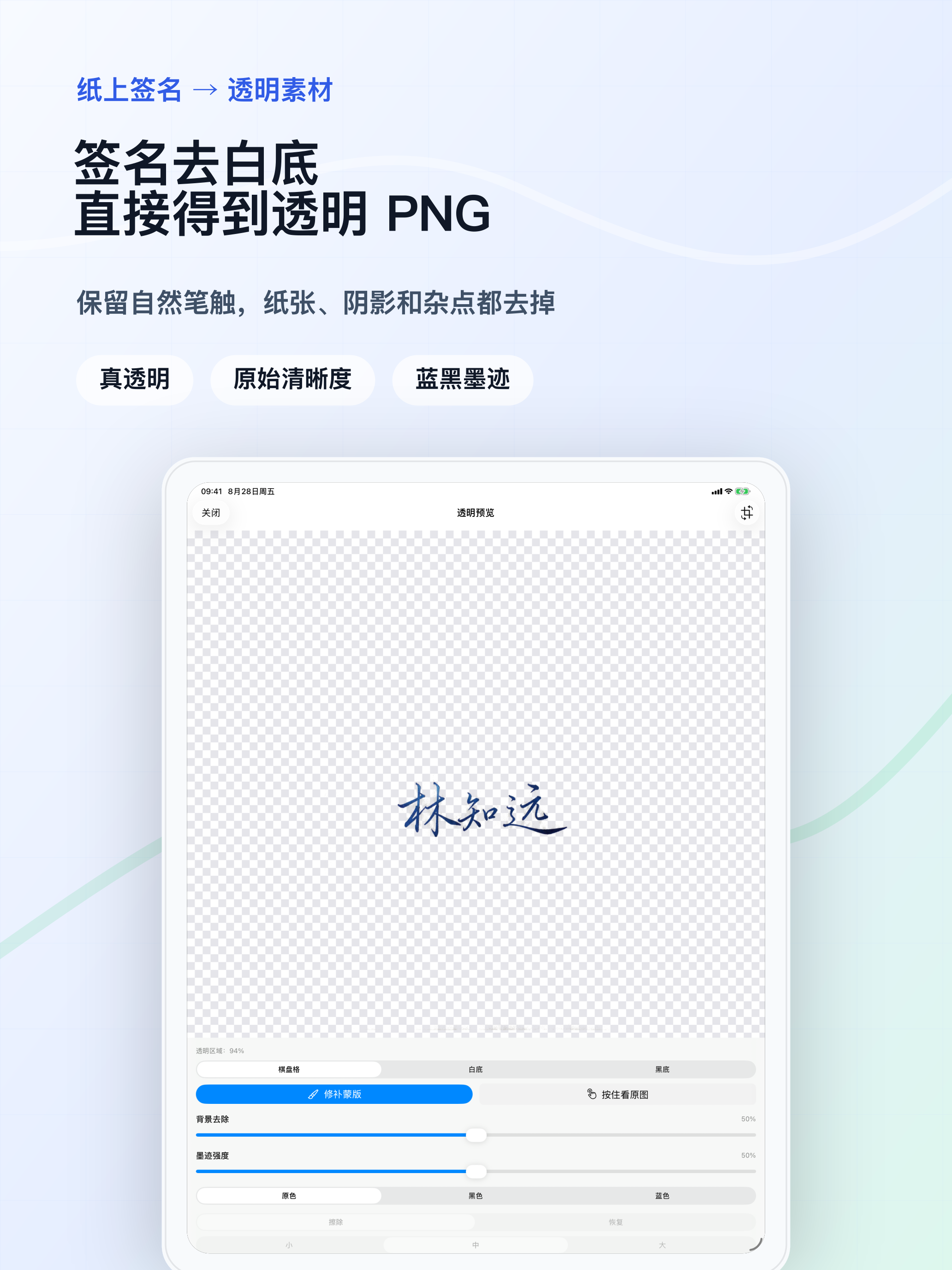 iPad 上的大画布透明预览,便于检查签名边缘和完整笔画。
